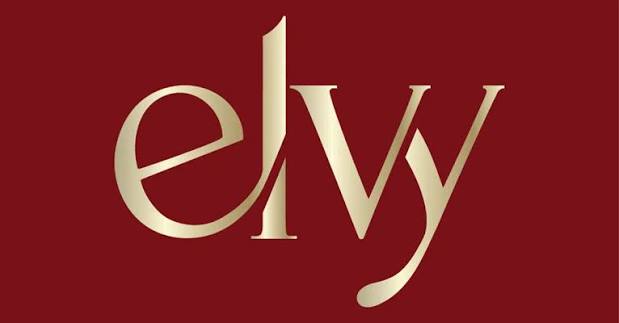 Elvy Lifestyle Pvt. Ltd. logo